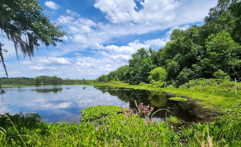 Grocery Bills That Stay Reasonable