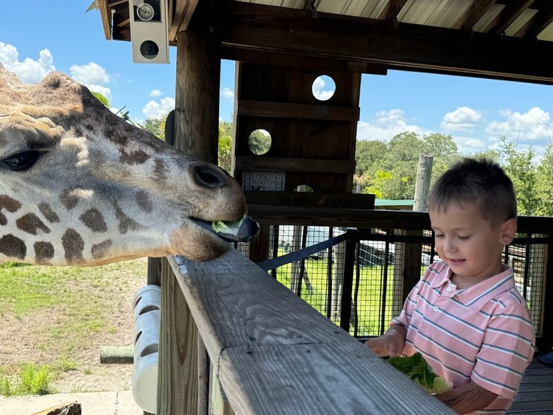 Food, Pricing, and Practical Tips for Visiting