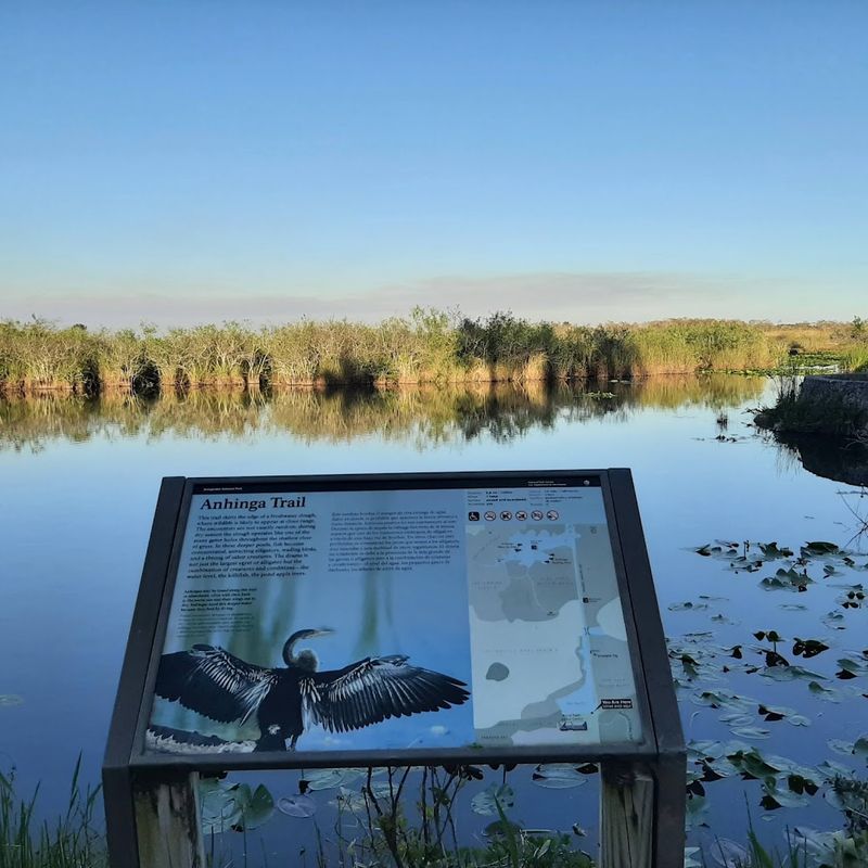 Best Time Of Day And Season