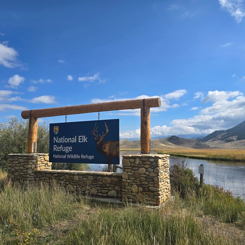 National Elk Refuge — Jackson, Wyoming