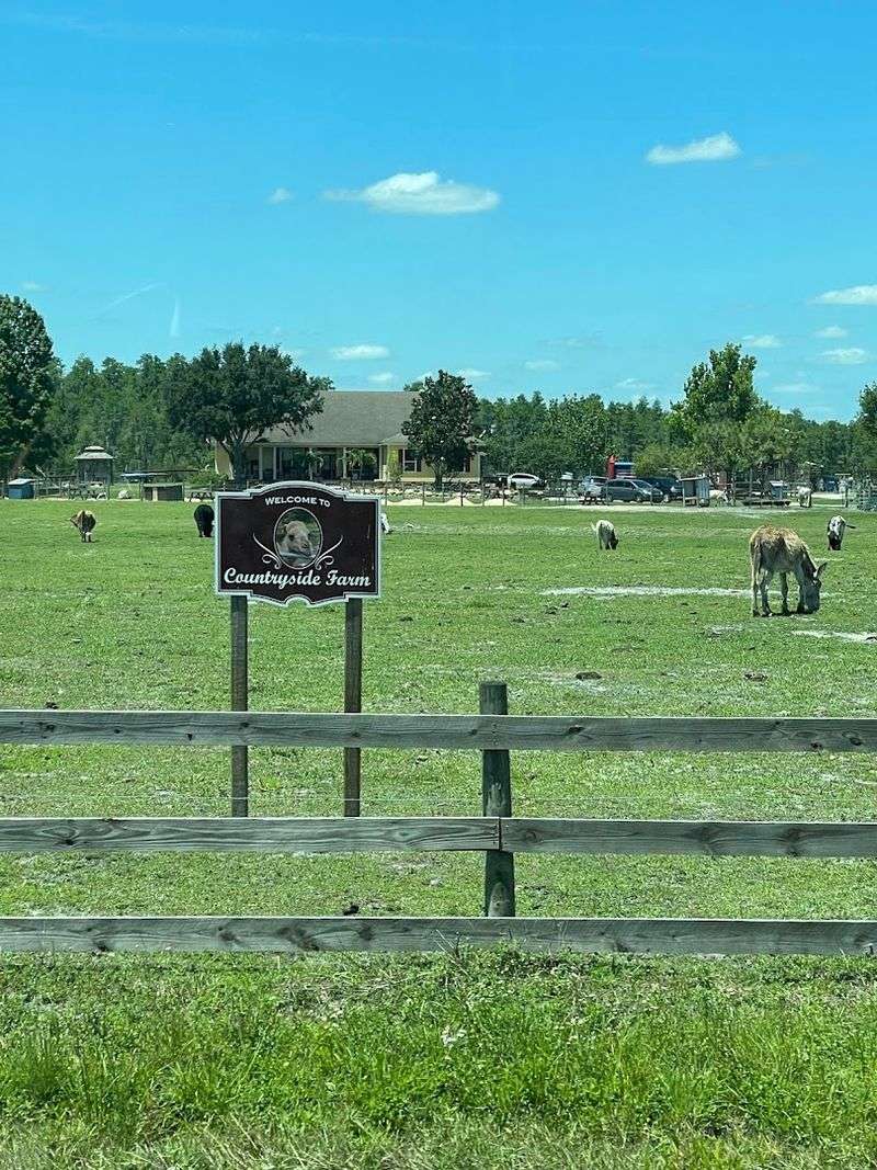 A Property That Feels Like a Living Postcard