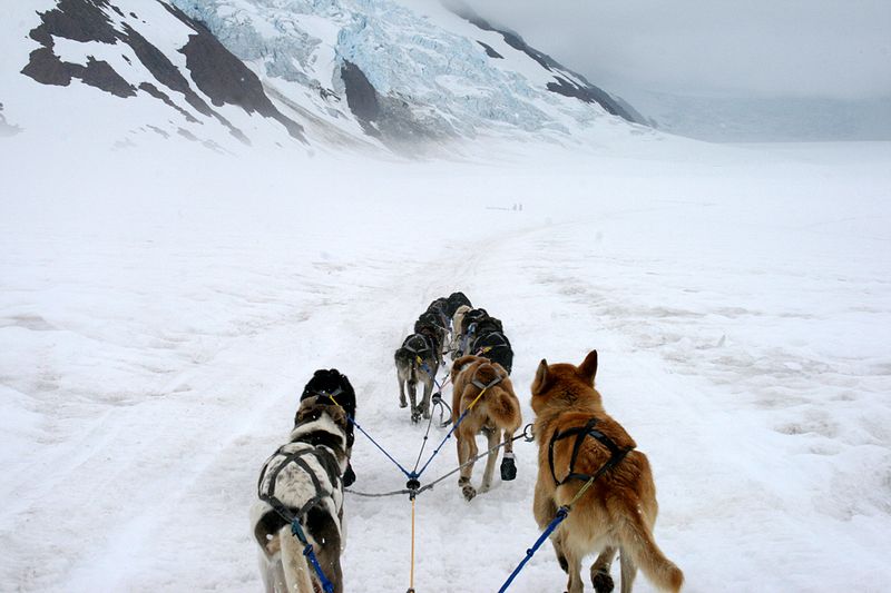 Dog Sledding on a Glacier (Juneau, Alaska)