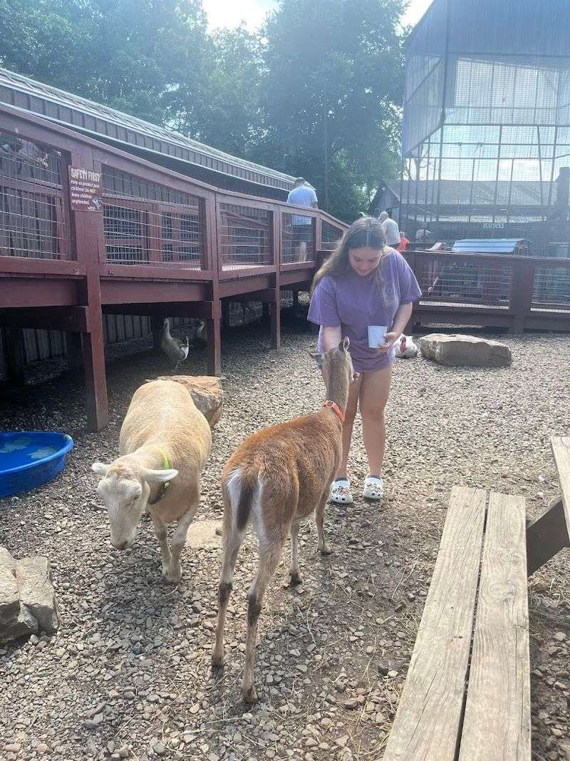 Feeding Time Is the Real Highlight