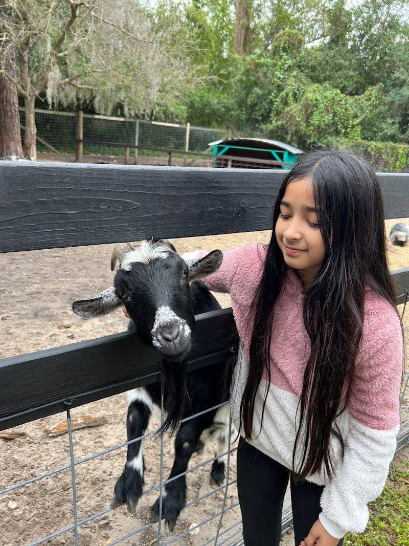 Getting Up Close: Hands-On Animal Interactions