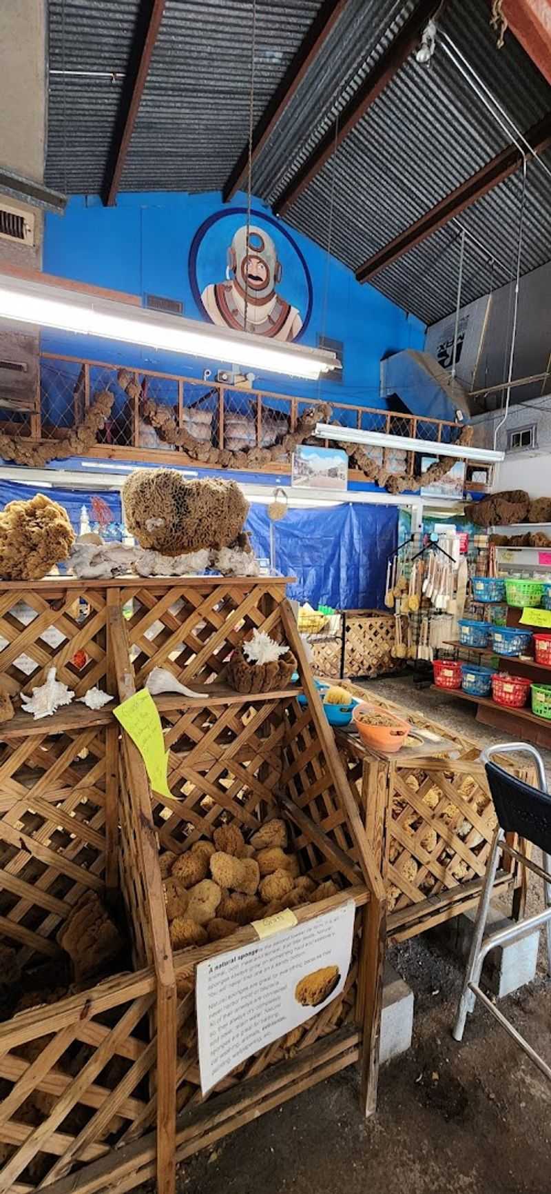 How Spongeorama Fits Into the Broader Sponge Docks Experience