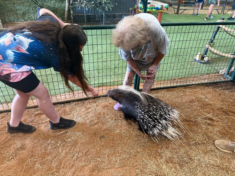 Planning Your Visit: Hours, Tips, and What to Know