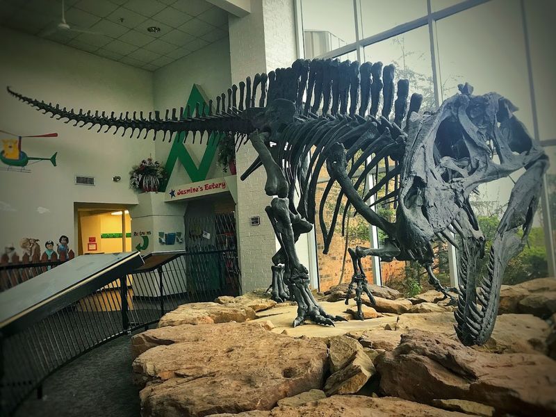 Dino Dig, Camping Area, and Other Themed Zones