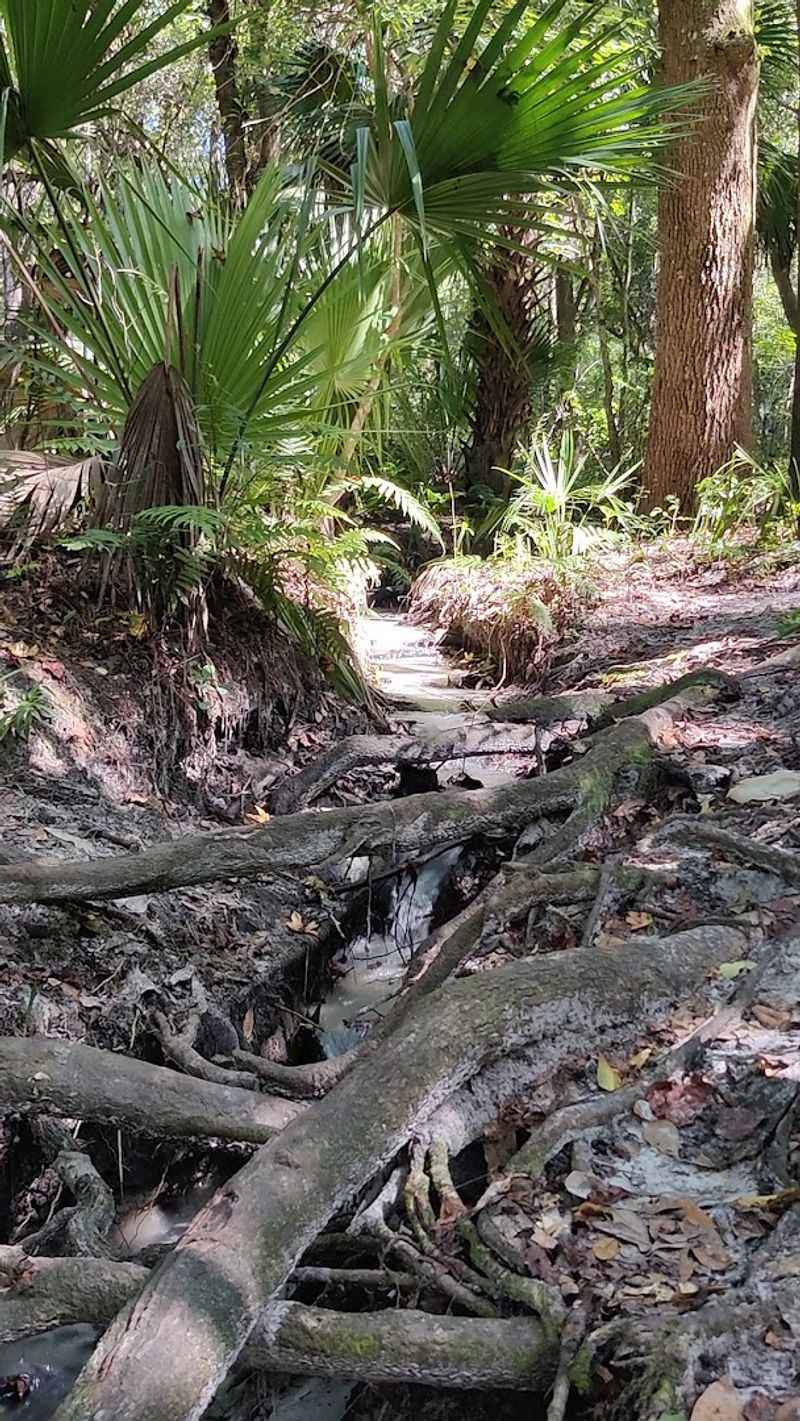 Hidden Trails and Quiet Moments