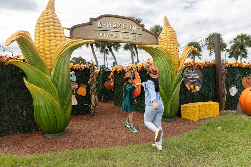 The Corn Maze: Getting Lost Is Half the Fun