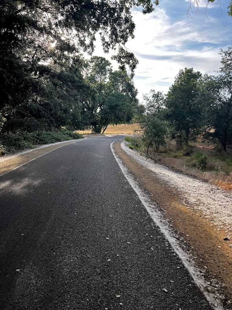 California - American River Bike Trail