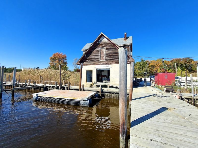 Best Times to Visit and What to Expect