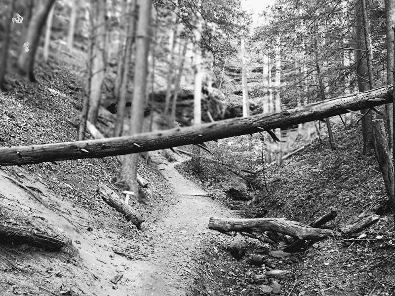 Trails That Reward the Slowest Pace