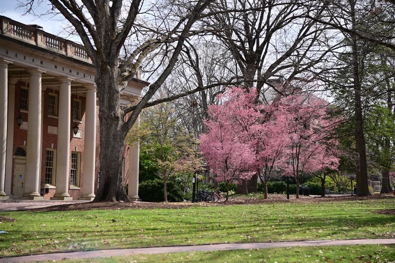 Chapel Hill, North Carolina