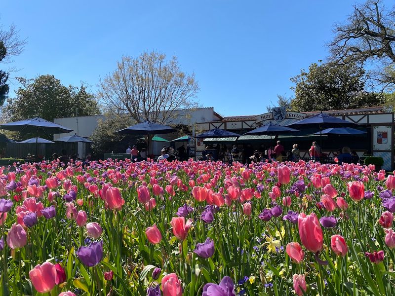Dallas Arboretum & Botanical Garden — Texas