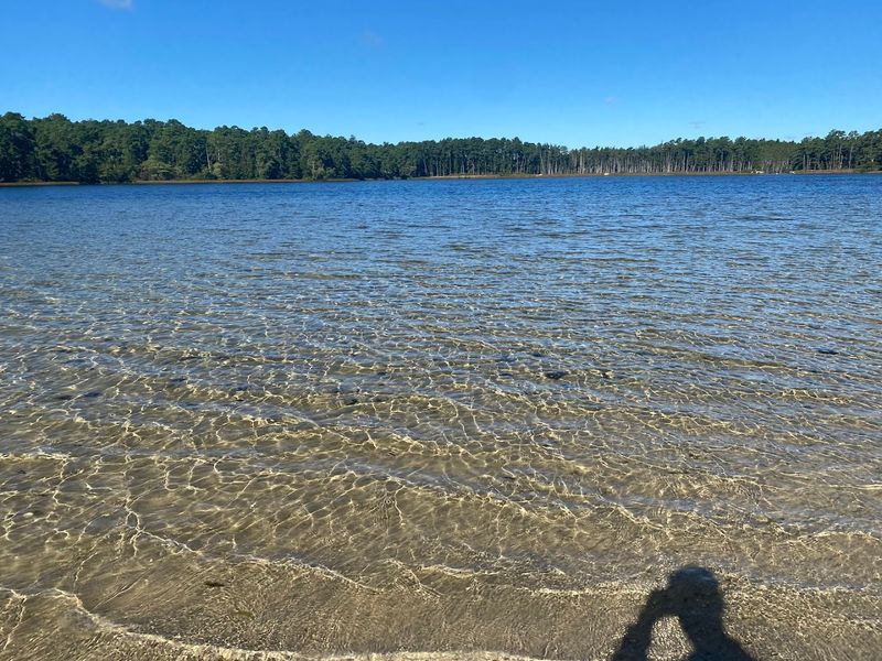 Lake Absegami - Bass River State Forest, Burlington County