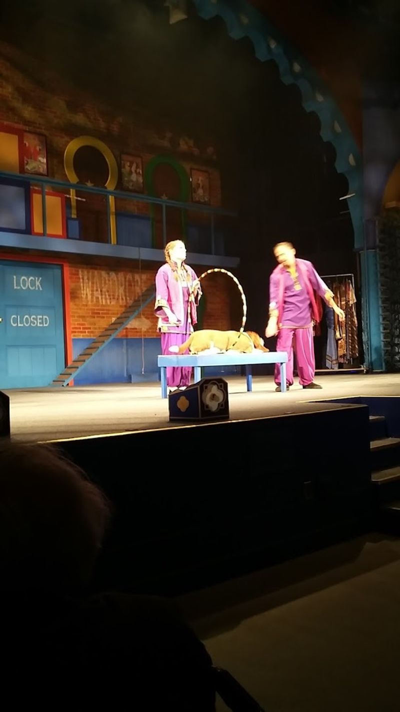 Meet and Greet After the Show