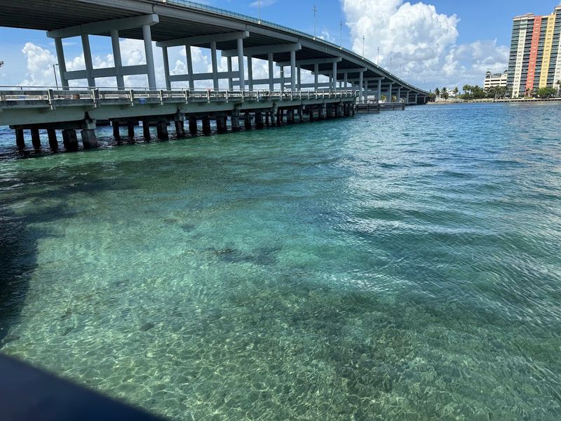 Blue Heron Bridge (Phil Foster Park, Riviera Beach)
