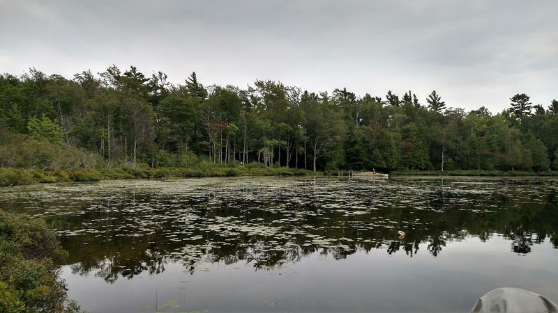 What Wildlife You Can Spot Across the Island