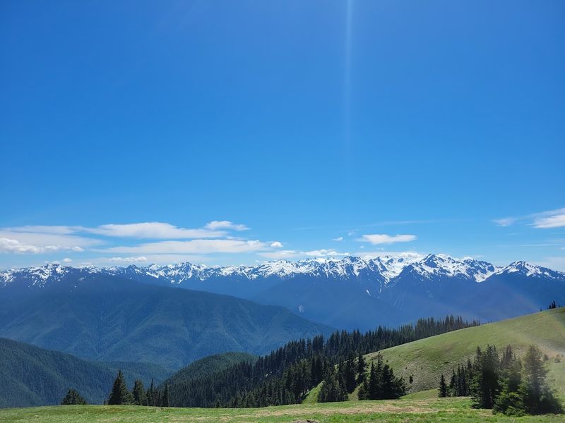 Hurricane Ridge – Olympic National Park, Washington
