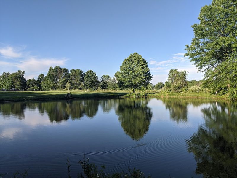 The Pond and Quieter Corners of the Preserve