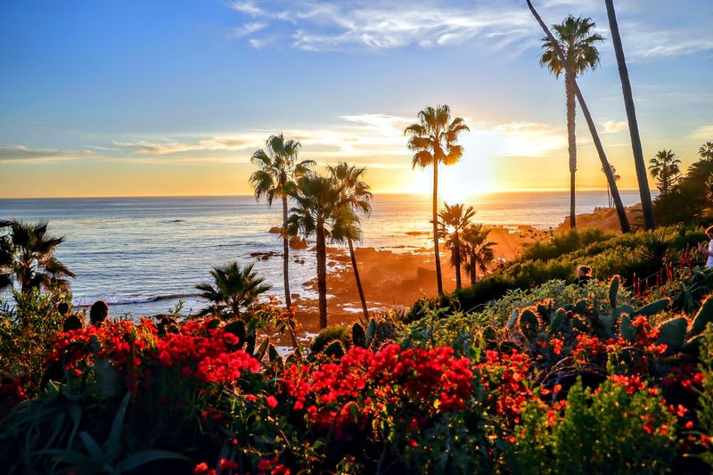 Laguna Beach, California