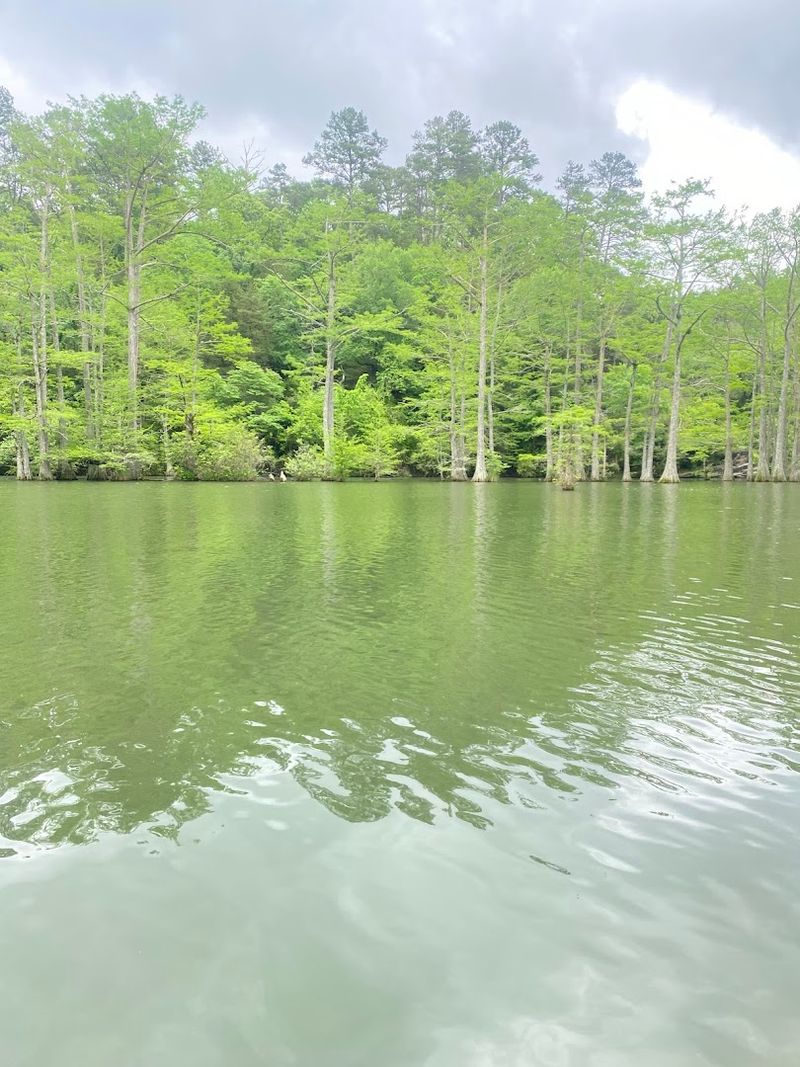 What the Scenery Looks Like From the Water