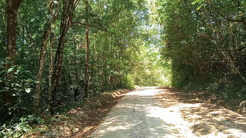 Lacandon Jungle — Mexico