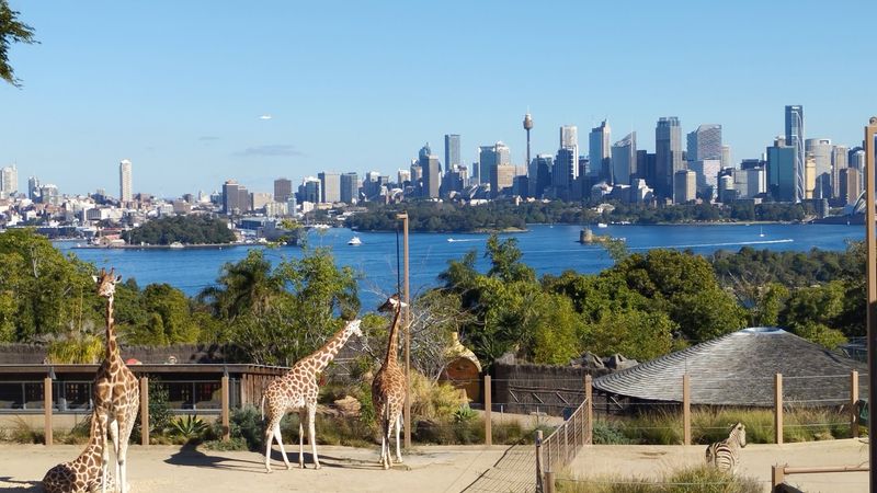 Taronga Zoo - Sydney, Australia