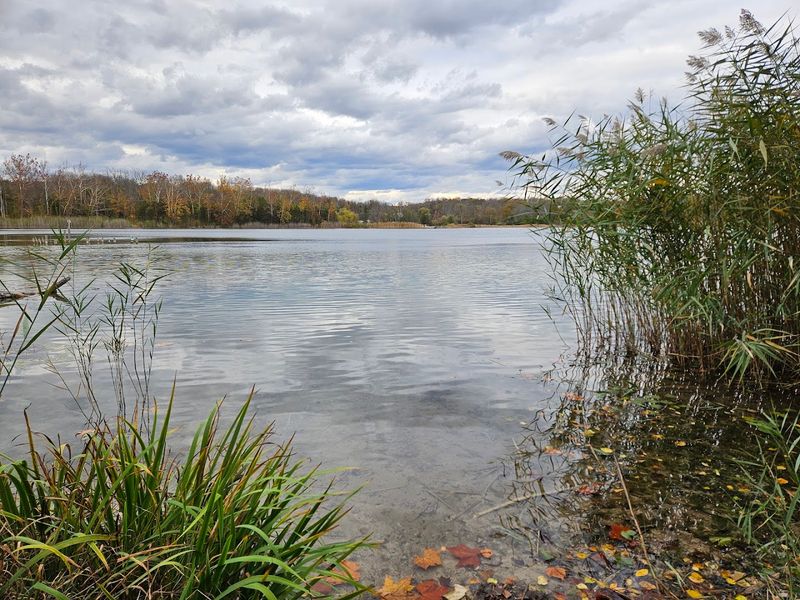 Photography Opportunities That Reward Patience