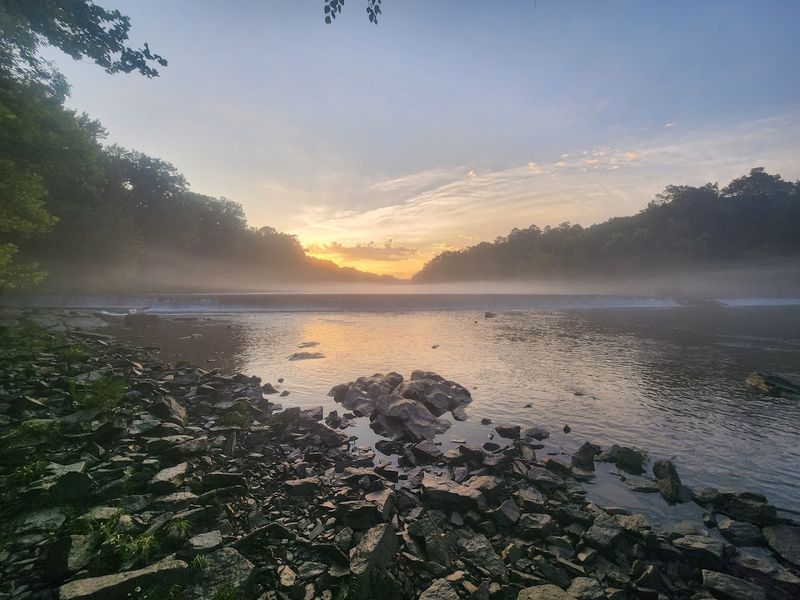 Camping Under the Pines: Sleeping in the Forest