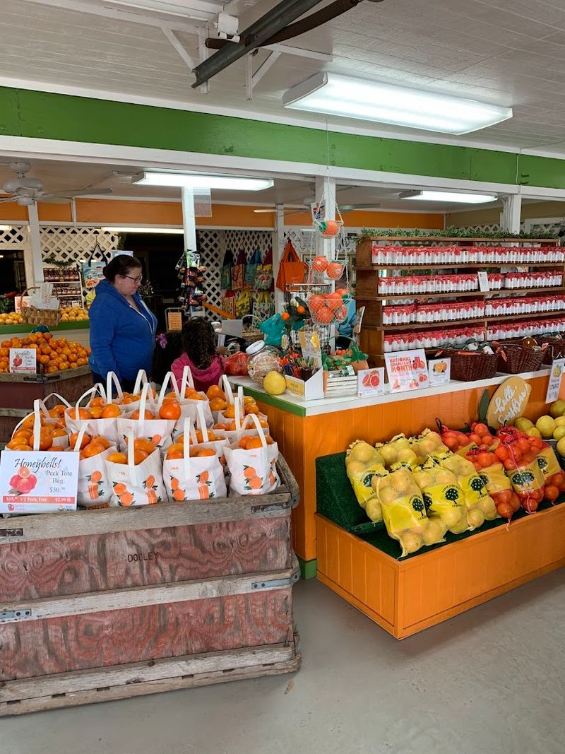 Bringing the Kids Along