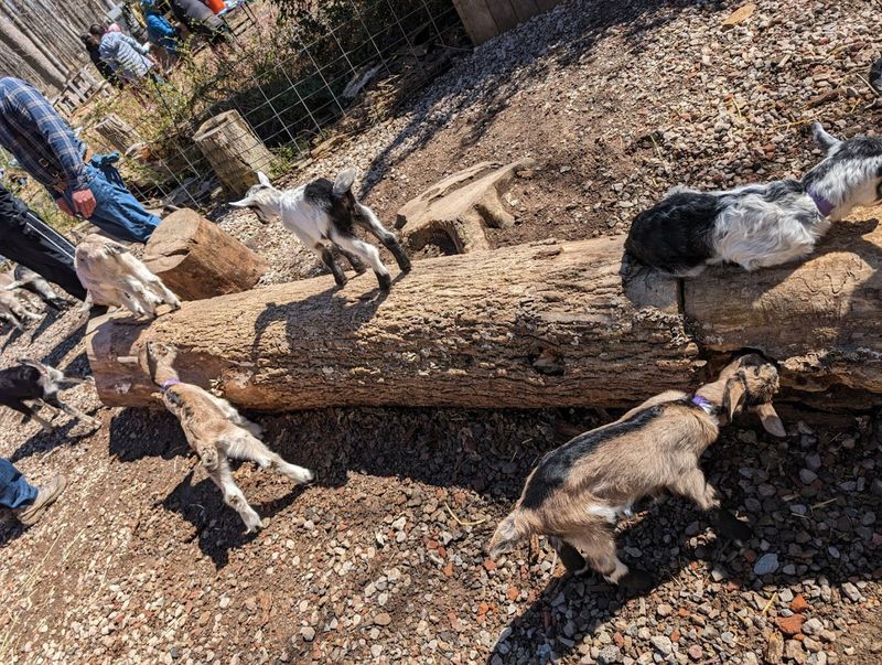 A Farm Experience That Works for All Ages