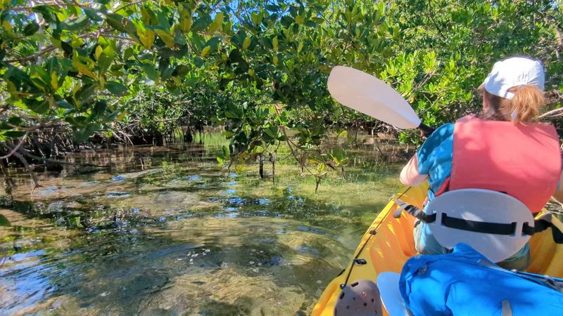 Endangered Species and Conservation: More Than Just a Beach