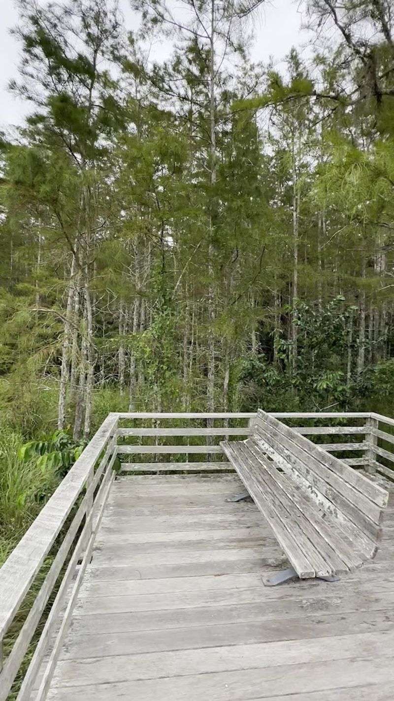 The Observation Tower and Lookout Points: Seeing the Big Picture