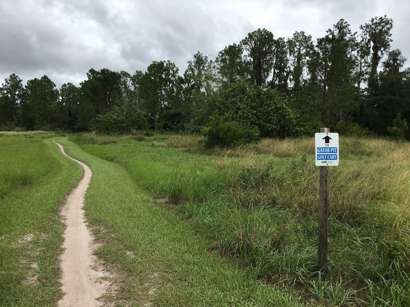 Running and Hiking: Two-Wheeled Territory With Foot Traffic Welcome