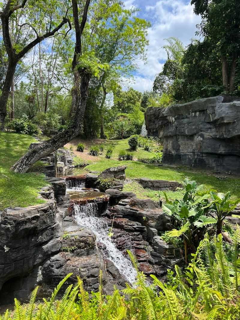 A Relaxing Break from the Ride Lines