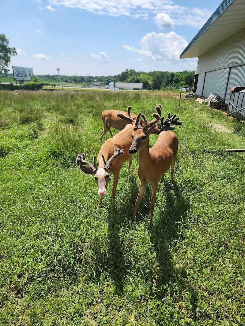 Self-Guided and Refreshingly Unhurried