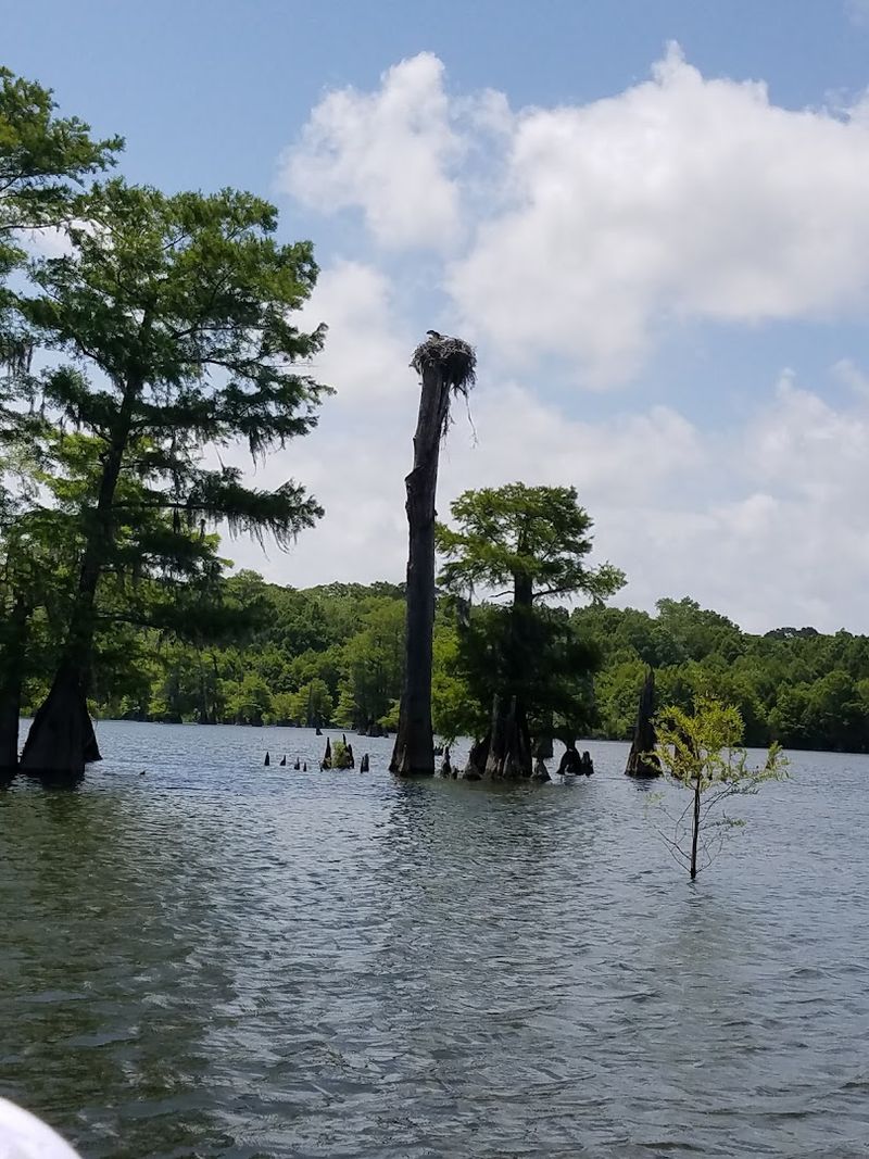 The Small Town Spirit of Wewahitchka