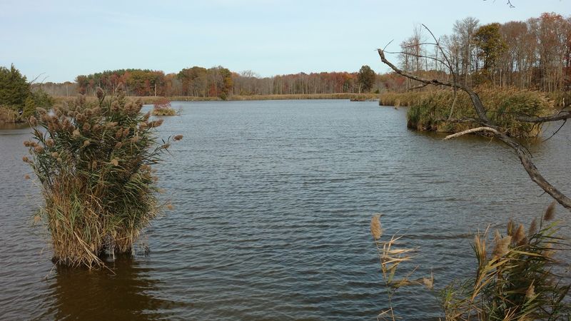 The Quiet Factor: What Makes This Place Different