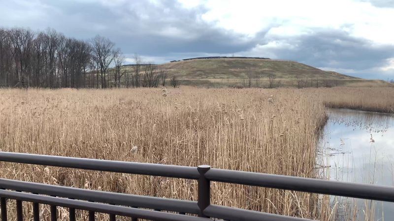 The Industrial Backdrop You Cannot Ignore