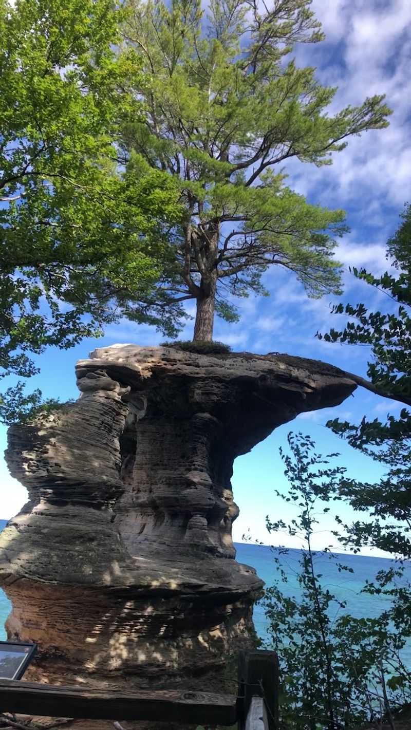 Practical Tips Before You Go