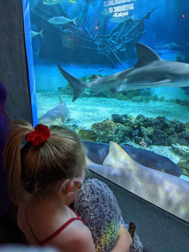 Accessibility and Stroller Navigation Inside