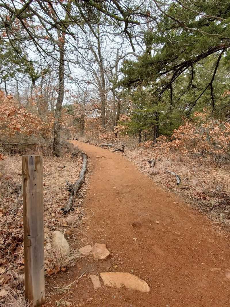 Practical Tips for First-Time Hikers