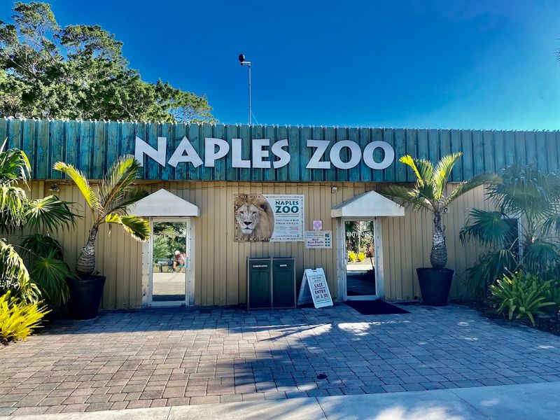 Why This Zoo Deserves a Spot on Your Naples Itinerary