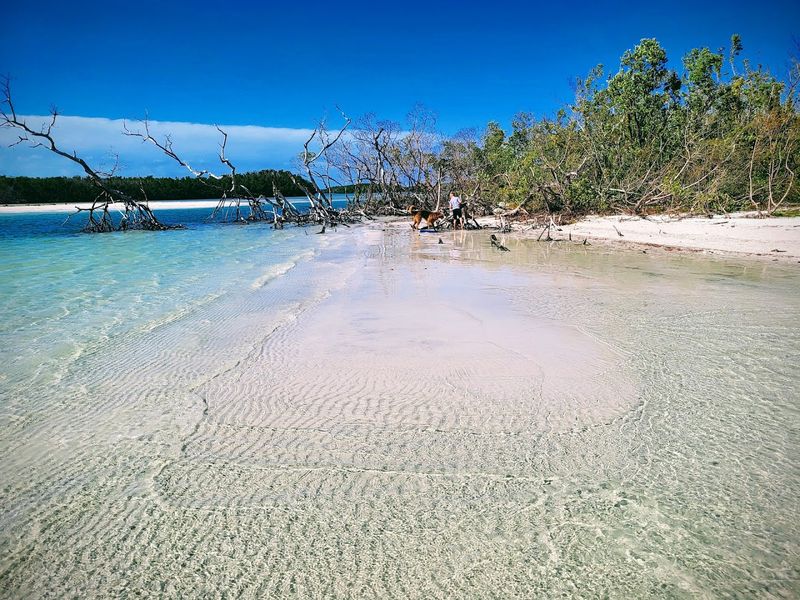 Practical Tips for a Smooth Visit