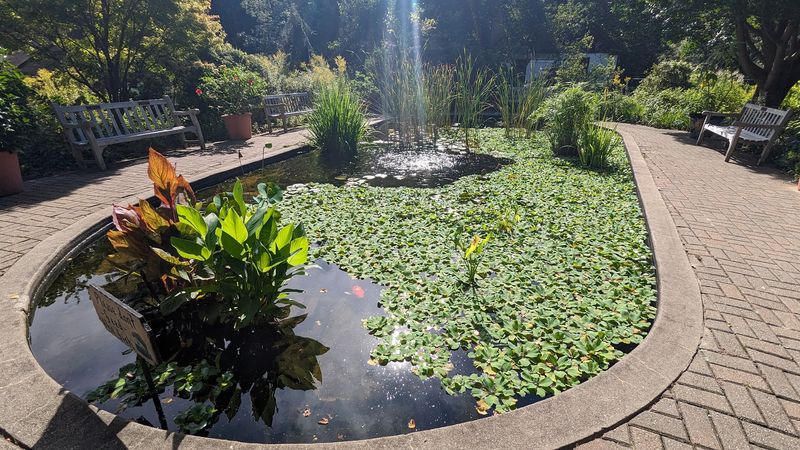 Photography Opportunities Around Every Corner