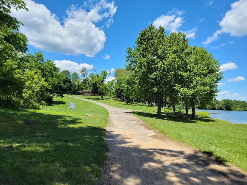 Dogs, Rules, and What to Pack