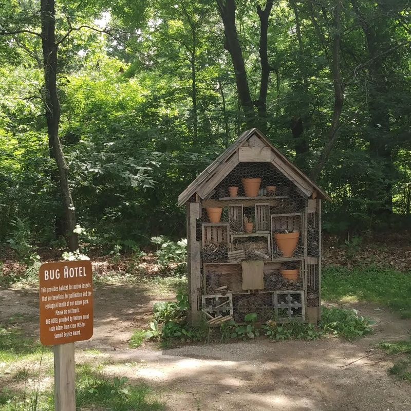 Practical Tips for Making the Most of Your Visit