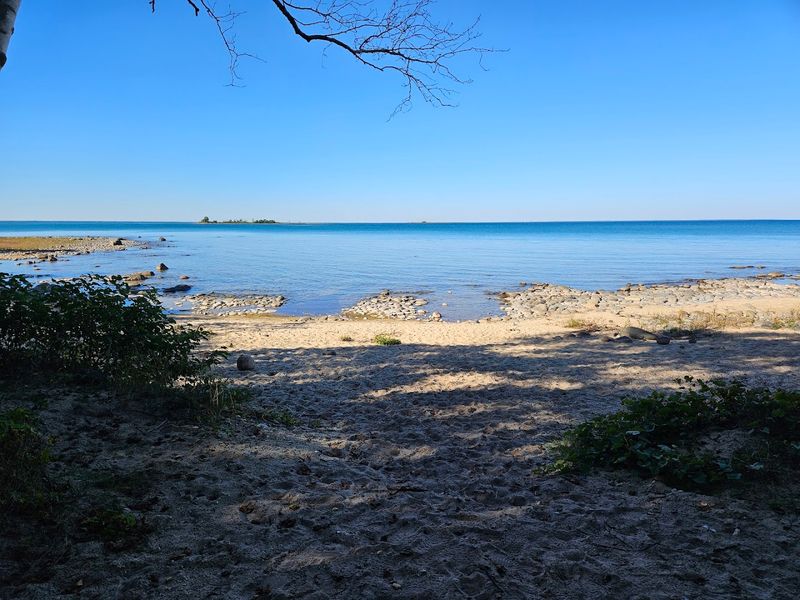 Practical Tips That Will Actually Make Your Visit Better