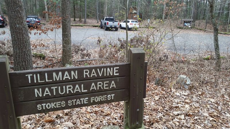 Parking and Road Reality